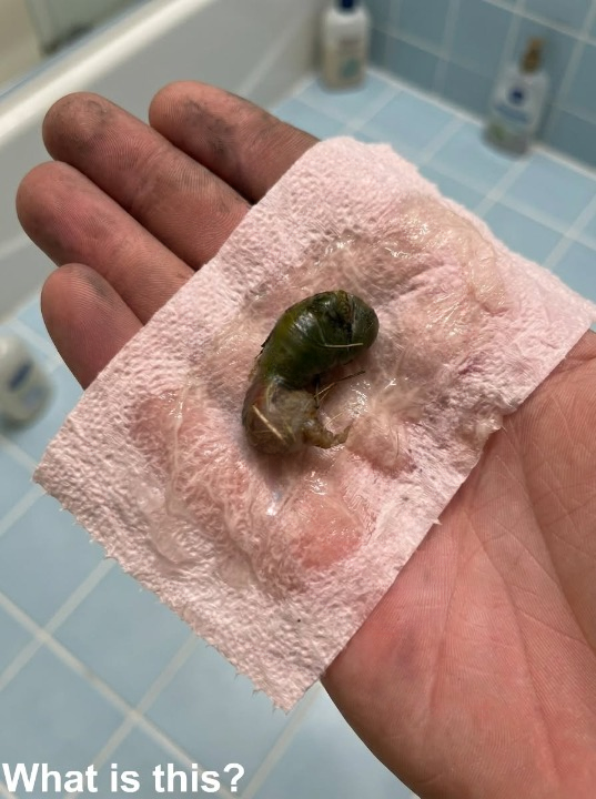 We found this in our bathroom……