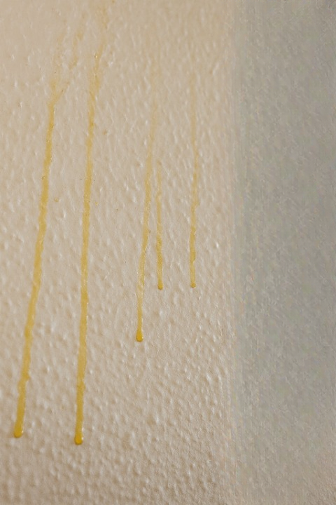 Yellow Stuff Dripping Down Your Bathroom Walls? Here’s What It Might Be and How to Fix It