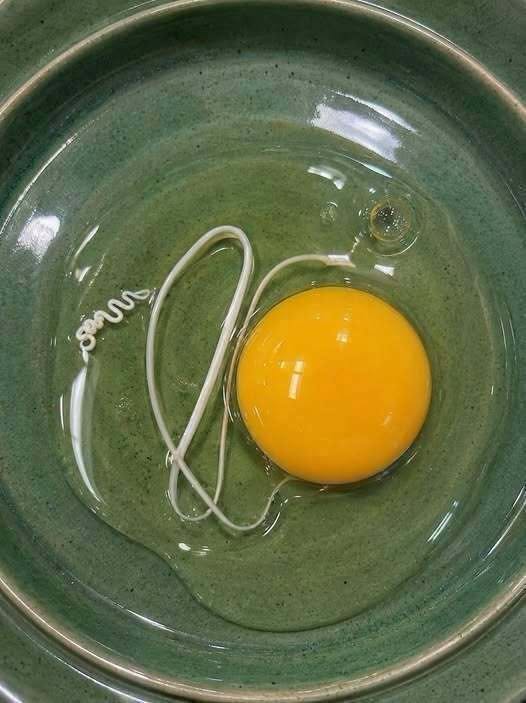 This morning, I woke up and decided to make fried eggs
