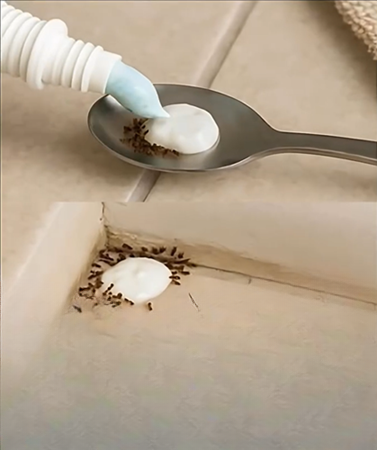 Say Goodbye to Household Pests Naturally: A Simple Chemical-Free Solution