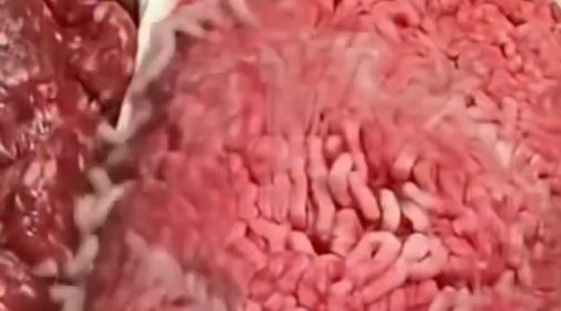 Don’t Get Fooled by the Supermarkets. They’re Selling You Meat From… See More
